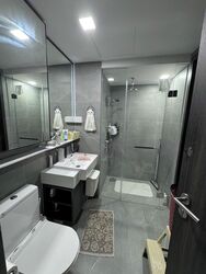 Riverfront Residences (D19), Apartment #501989851